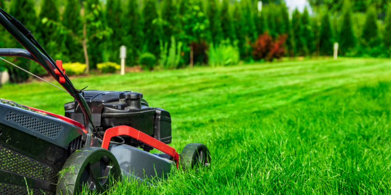 Summer Jobs and Taxes: 4 things every young worker should know